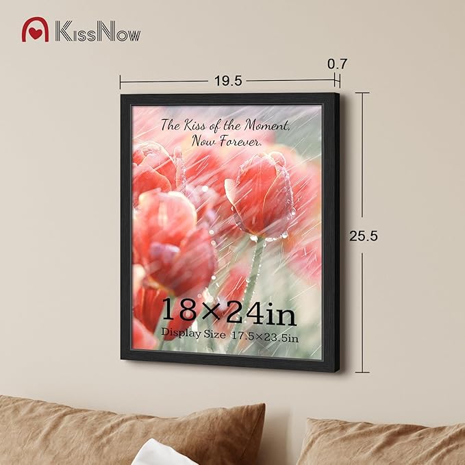 18x24 Poster Frame 2 Pack, Black Solid Wood Picture Frame with Polished Plexiglass, Wall Hanging
