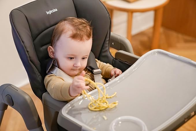 Inglesina My time Highchair, Pepper - Adjustable High Chair for Babies & Toddlers, 4 Height & 3 Recline Settings, Collapsible, Tool-Free Assembly, BPA Free, Removable Tray for Easy Cleaning