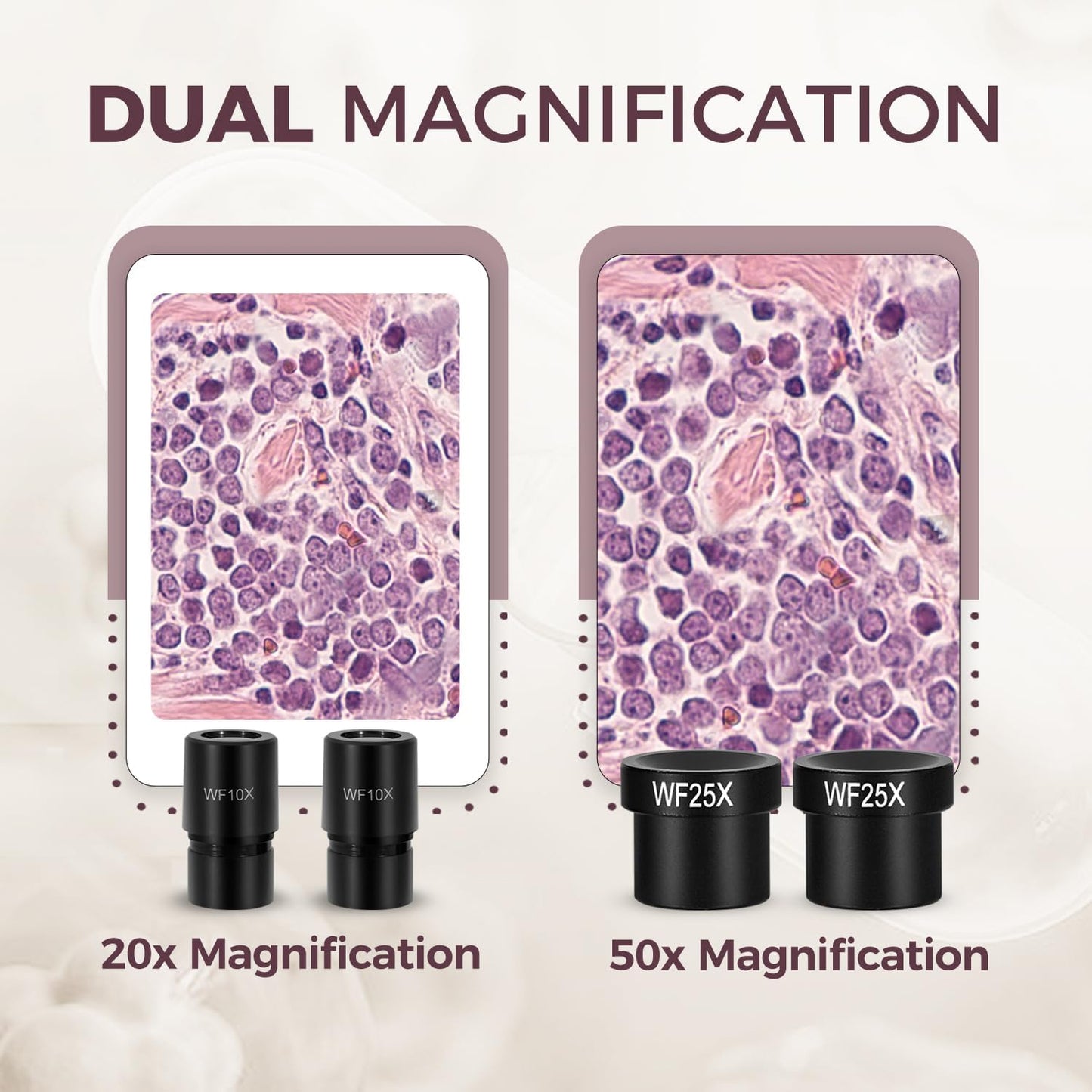 ESAKO Dual LED Kids Microscope - 52+ Piece Science Kit with Mineral & Insect Specimens, 10 Prepared Slides & 10 DIY Blank Slides, Microscope kit for Kids 8-12