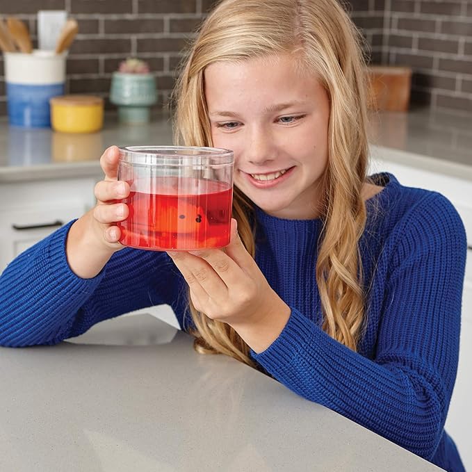 MindWare Crystal Growing Kits: Hedgehogs Warm Colors Set of 2 – Cute DIY Crystal Growing Kits for Kids & Teens – Mini Science Experiment – Crystals Grow in 24 Hours