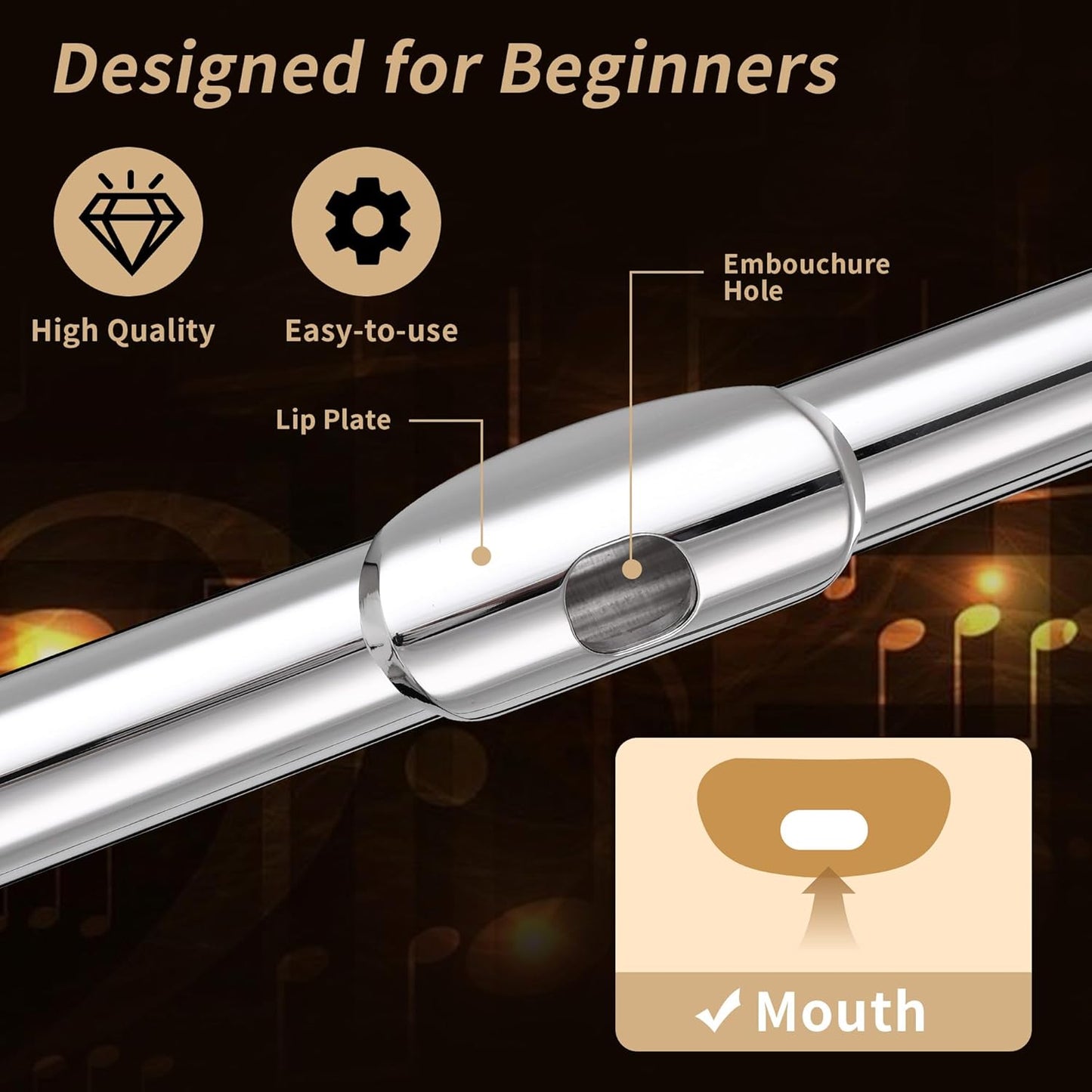 C Flute Closed Hole 16 Key for Beginner Student Silver Flute with Carrying Case Stand Gloves Cleaning Cloth for School Band Instruments