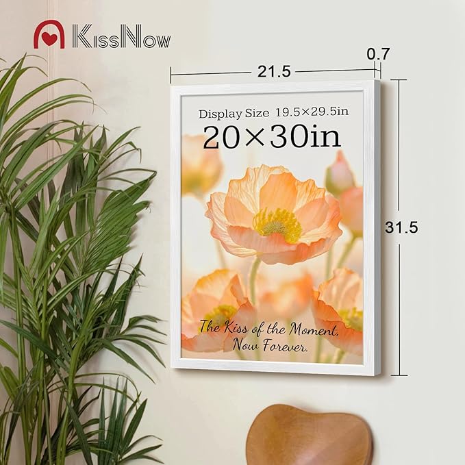 20x30 Poster Frame 2 Pack, Textured White Solid Wood, Wall Gallery Picture Frame