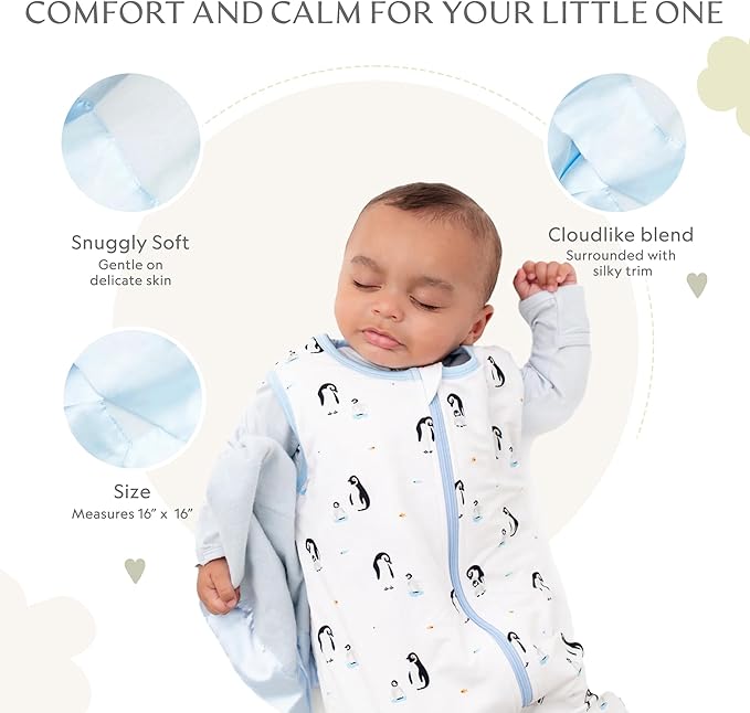 Ultra-Soft Lovey Security Blanket - Baby Essentials, Newborn Essentials, Ultra-Soft Fleece Baby Blanket with Satin Trim – 16" x 16" - Blue