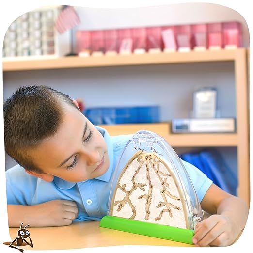 Insect Lore Ant Hill Habitat Kit with Live Ants Voucher – STEM Educational Science Kit for Kids – Includes Pre-Paid Voucher for 50 Harvester Ants – Watch Ants Tunnel and Explore