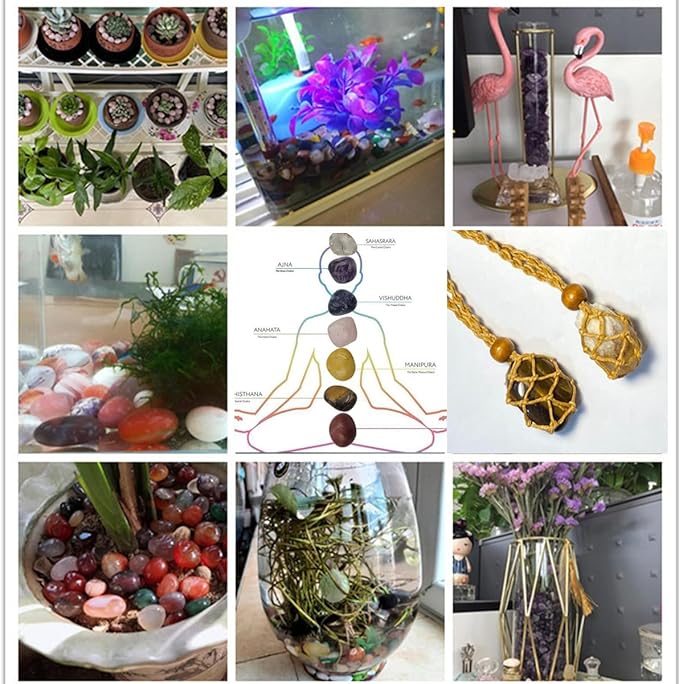 450 Pieces Rocks Collections for Kids, 40+ Kinds Gemstones and Crystals Set, Rocks and Minerals Science Kit Include 1.5lb Tumbled Chips Crystals and 1lb Tiny Rough Stones