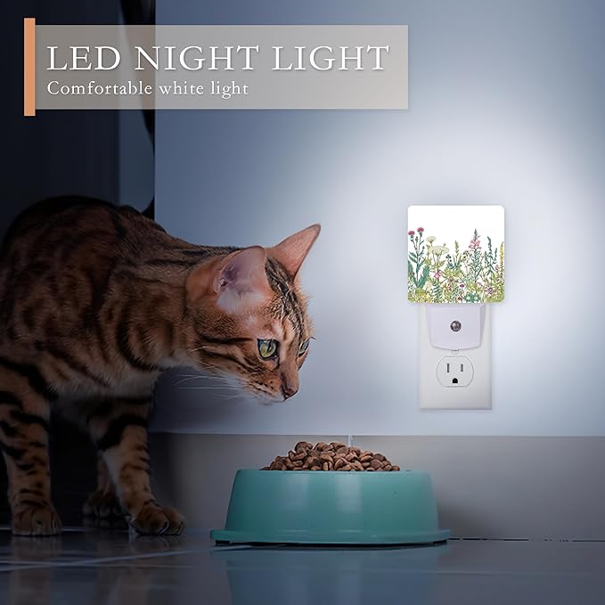Night Light,Herbs and Wild Flowers Night Lights Plug into Wall for Boys Girls Bedroom Decorative Half Round Nightlight Led Lamp 0.5W Sleep Friendly