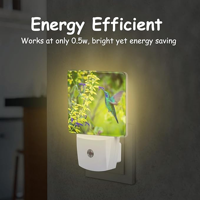 Green Violet Ear Hummingbird Night Light,Nature Salvia Mexicana Plug-in Night Light Auto Dusk-to-Dawn Sensor Energy Efficient LED Lamp for Room Decor,Hallway,Kitchen,Bathroom,Nursery,Stairs