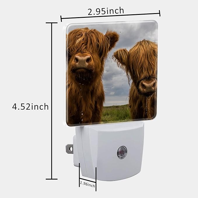 Highland Cows Night Light with Dusk to Dawn Sensor for Kid Girls Boys Women Men Room Decor, Hallway, Kitchen, Bathroom, Nursery, Stairs