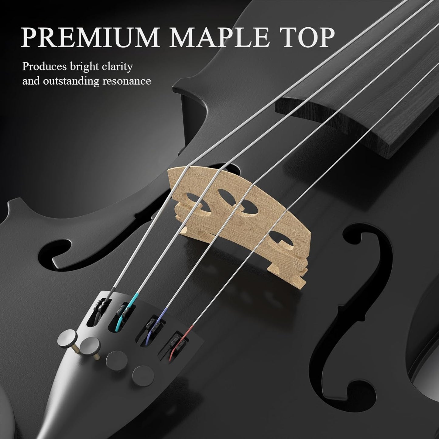 Beginner Violin 4/4, Full Size Violin for Adults, Teens, Student, Acoustic Fiddle Kit with Hard Case, Bow, Rosin, Bridge, Learners Age 12+ (Black)