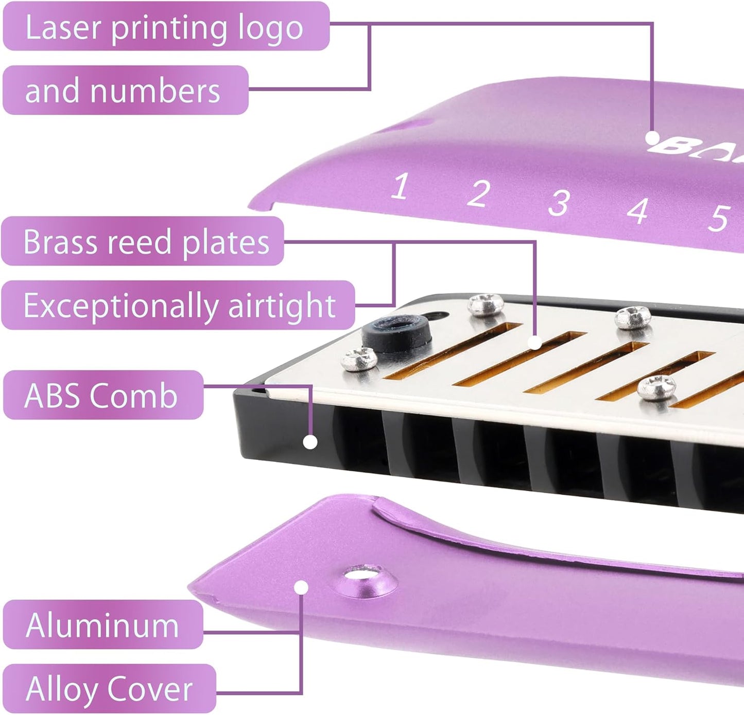 BabyFat 7 Hole Blues Mini Harmonica Set,Diatonic Harmonica with free lanyards,Gifts for Professional Players and Beginners,Easy-playing Musical Instrument(Key of D）