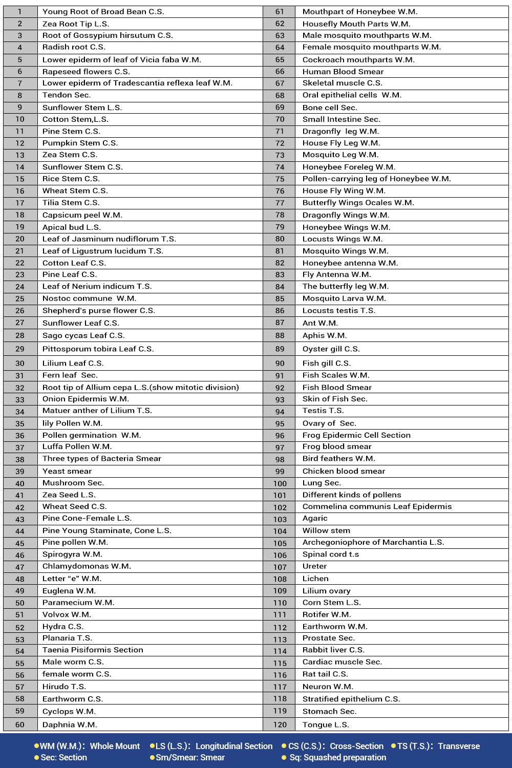 120 Microscope Slides with Specimens for Kids, Prepared Microscope Slides for Kids Microbiology, Prepared Microscope Slides for Adults