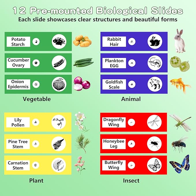 Microscope for Kids with 12 Slides, 100X-1000X 1080P Digital Handheld Kids Microscope, Mini Portable Pocket Miniscope Science Toys Gifts for 3+ 4 5 6 7 8 9 10 11 12 Year Old Boys Girls, Blue