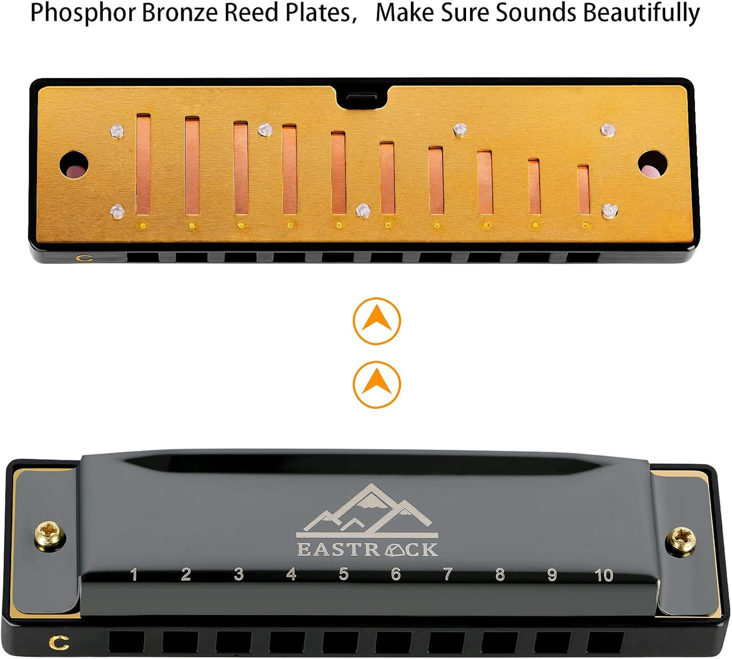 EastRock Blues Harmonica Mouth Organ 10 Hole C Key with Case, Diatonic Harmonica for Professional Player, Beginner, Students gifts, Adult, Friends, Gift Black