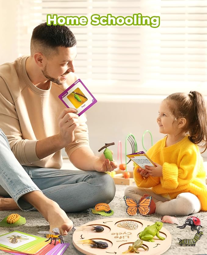 JoyCat Life Cycle Learning Education Toys, Insect Caterpillar to Butterfly kit, Ladybug, Bee, Tadpole to Frog Kit Life Cycle Toys for Kids, Preschool Learning Activities for Kids (Animals and Plant)