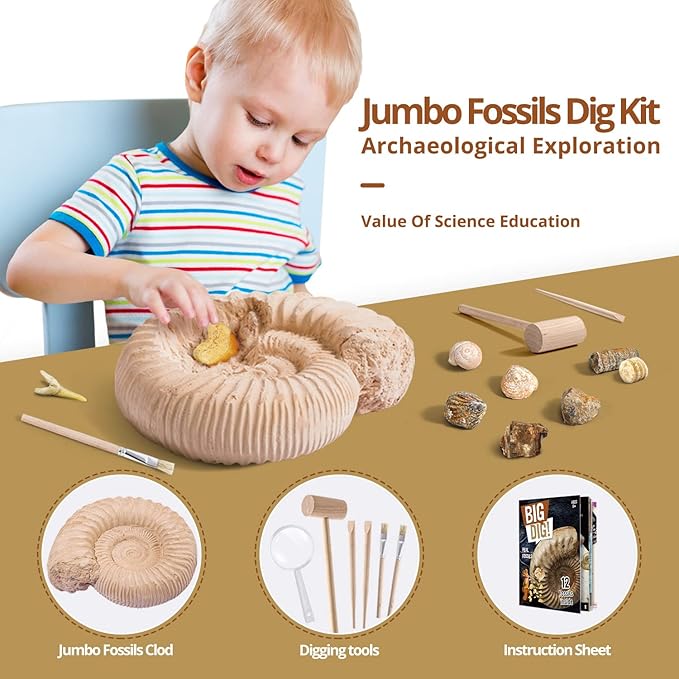 Byncceh Mega Fossil Dig Kit - Excavate 12 Prehistoric Fossils, Shark Teeth, Dinosaur Poop, Fossil Fish, Paleontology Educational STEM Science Toys for Kids Gifts for Girls & Boys