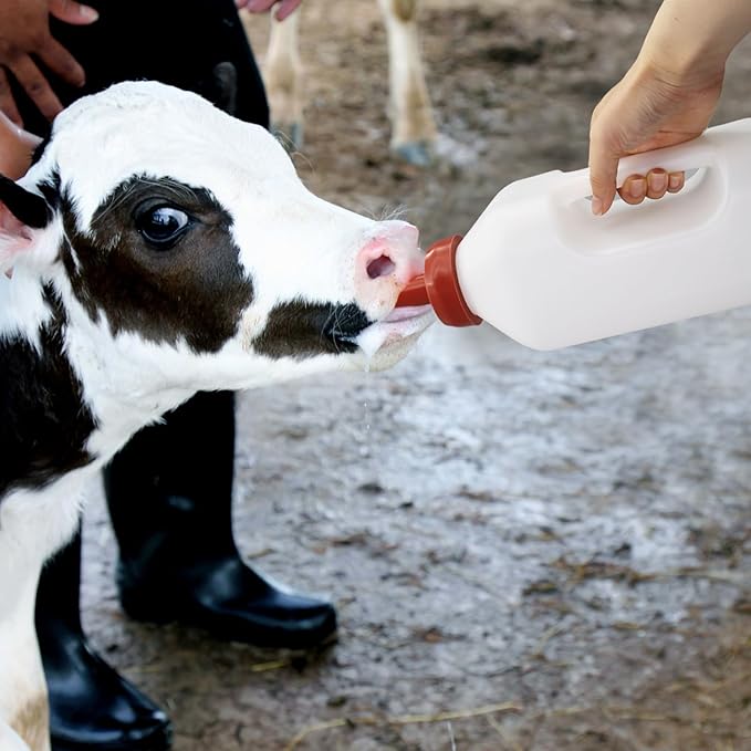 Calf Bottle Lamb Feeding Nipple 2.11 Quart Calves Nursing Feeder with a Replacement Teat for Baby Livestock Animals