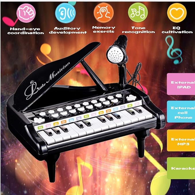 Love&Mini Toy Piano for Toddler - Birthday Gift for 1 2 3 4 Year Old Girls and Boys, 24 Keys Multi-Functional Baby Piano Toy with Microphone