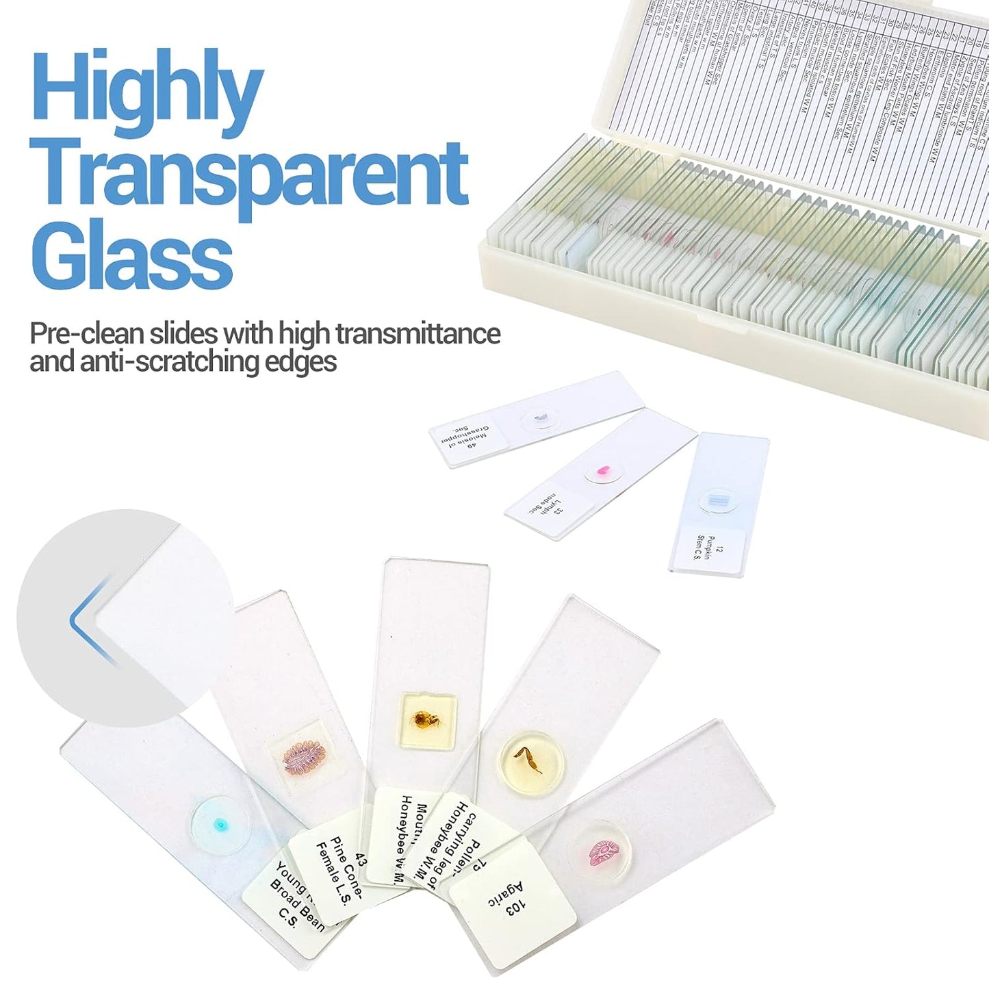 60 Microscope Slides with Specimens for Kids, Prepared Microscope Slides for Kids Microbiology, Prepared Microscope Slides for Adults