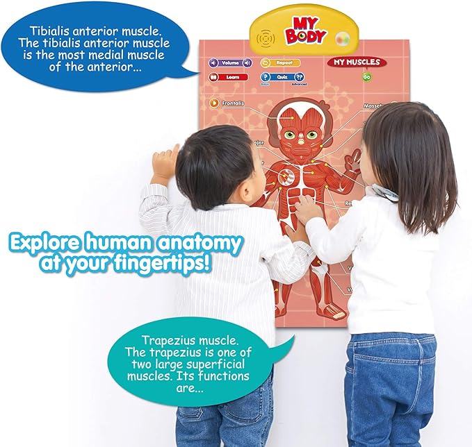 BEST LEARNING i-Poster My Body - Interactive Educational Human Anatomy Talking Game Toy | Learn Body Parts, Organs, Muscles and Bones for Kids Aged 5 to 12 Years Old