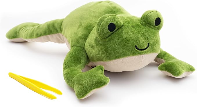 KiwiCo Froggie Lab Dissection Plush Toy - Anatomy Learning Toy for Ages 3 and Up