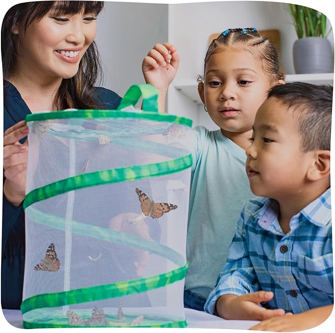 Insect Lore Raise and Release Butterfly Garden Kit – Caterpillar Habitat with redeemable Voucher – STEM-accredited Butterfly Growing Kit for Kids, Classrooms, and Homeschool Learning