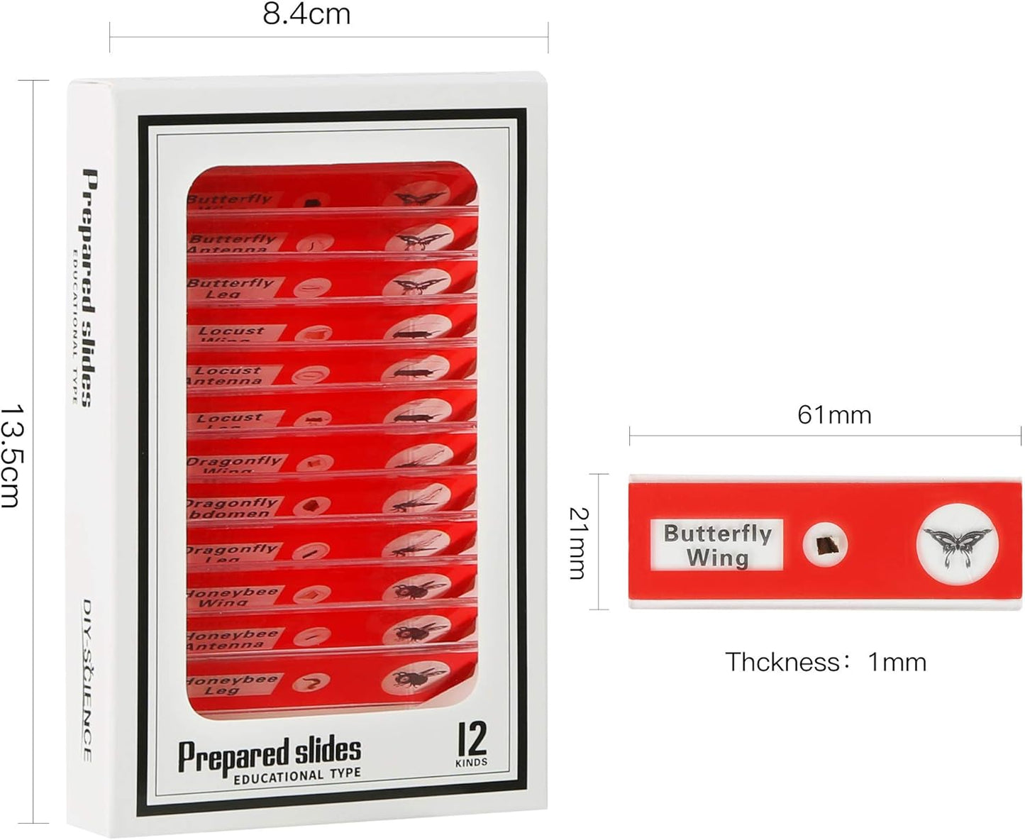 48 Prepared Microscope Slides Set of Animals Insects Plants Flowers, Biological Learning Resource Specimens for Kids Beginner Classroom Basic Science Education