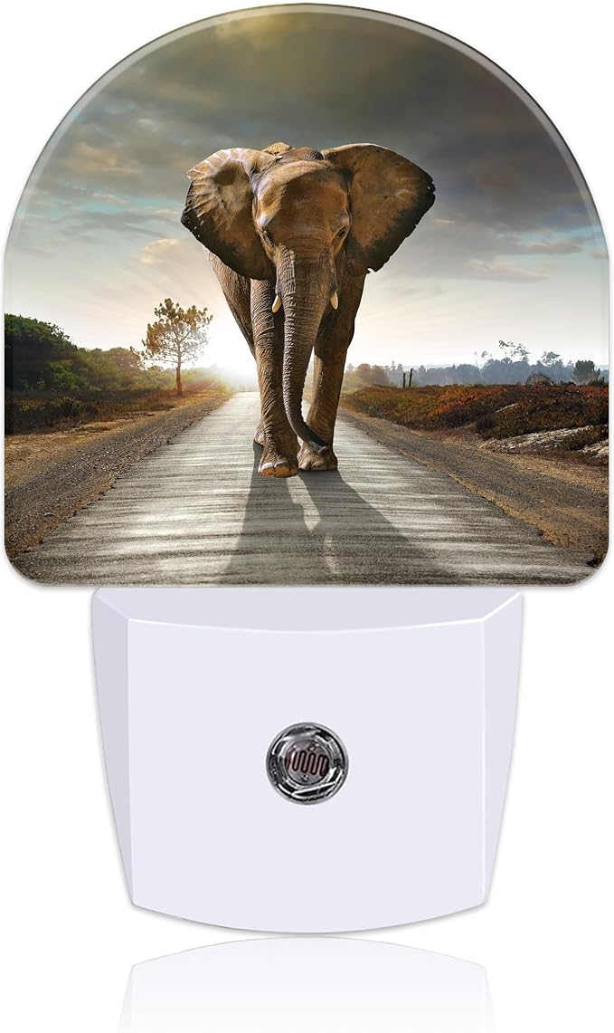 Plug in Night Lights Abstract Elephant On Road Nightlight Plug Into Wall Dusk to Dawn Sensor LED Night Light for Kid Girls Boys Women Room Decor, Hallway, Kitchen, Bathroom, Nursery, Stairs
