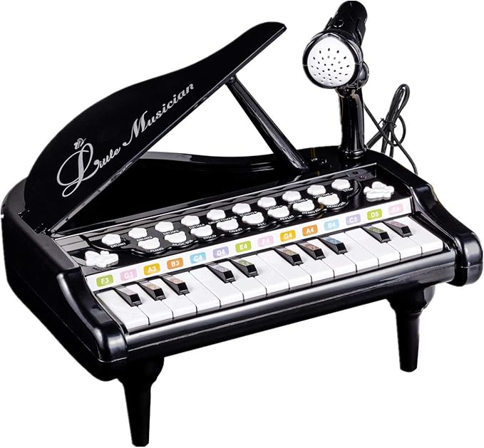 Love&Mini Toy Piano for Toddler - Birthday Gift for 1 2 3 4 Year Old Girls and Boys, 24 Keys Multi-Functional Baby Piano Toy with Microphone