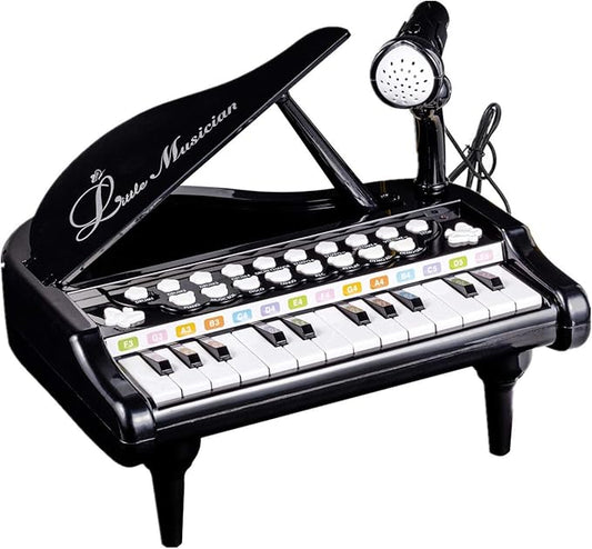 Love&Mini Toy Piano for Toddler - Birthday Gift for 1 2 3 4 Year Old Girls and Boys, 24 Keys Multi-Functional Baby Piano Toy with Microphone