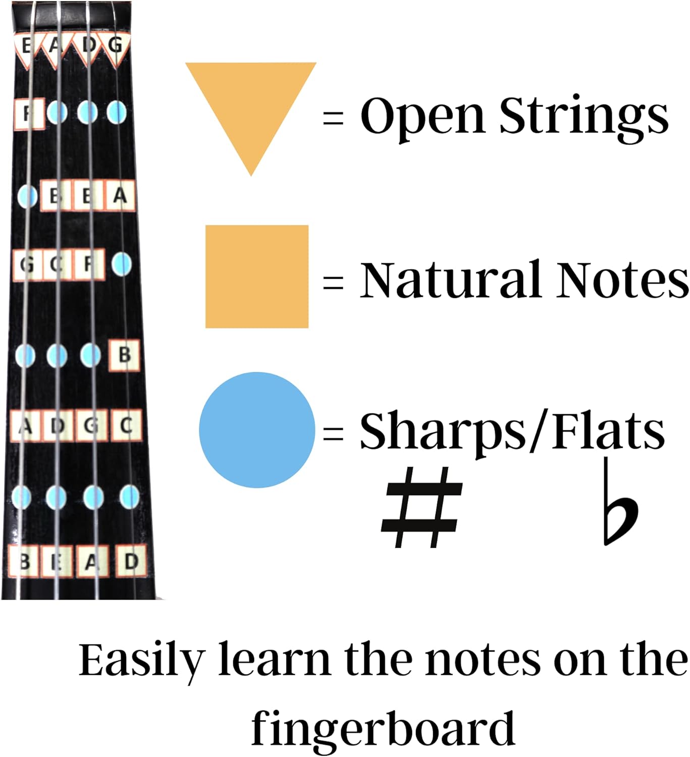 Fantastic Finger Guide for Violins Kids/Adult Beginner | Stringed Musical Instruments | Fingerboard and Fretboard Stickers for Learning All Notes | Play or Fiddle (LH 4/4)