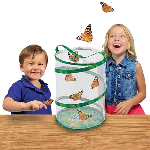 Insect Lore Live Butterfly Garden Life Cycle Observation Kit with 10 Live Baby Painted Lady Caterpillars - Habitat and Supplies Included