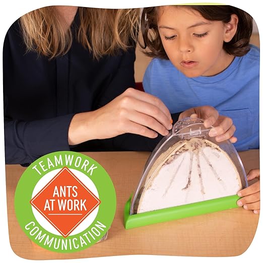 Insect Lore Ant Hill Habitat Kit with Live Ants Voucher – STEM Educational Science Kit for Kids – Includes Pre-Paid Voucher for 50 Harvester Ants – Watch Ants Tunnel and Explore
