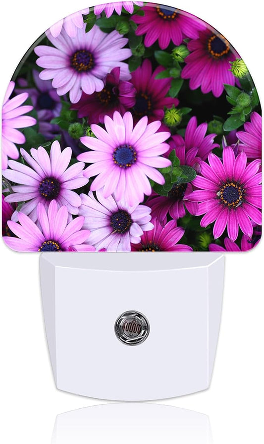 Beautiful Purple and Pink Flowers Night Light Plug into Wall with Dusk to Dawn Sensor Cute Nightlight for Kid Girls Boys Women Men Room Decor, Hallway, Kitchen, Bathroom, Nursery, Stairs