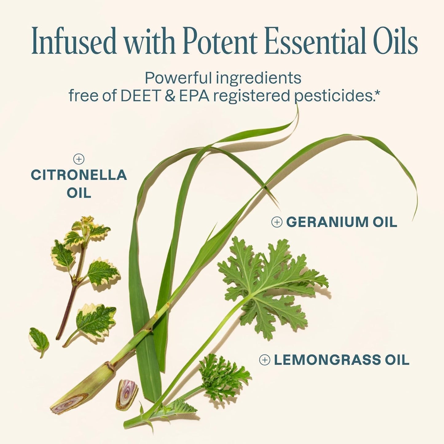 Cliganic Mosquito Repellent Bracelet Stickers Pack for Kids & Adults Multi Color, Natural DEET-Free, Essential Oil Infused 20 Bands with 30 Patches, Citronella Scent (50)