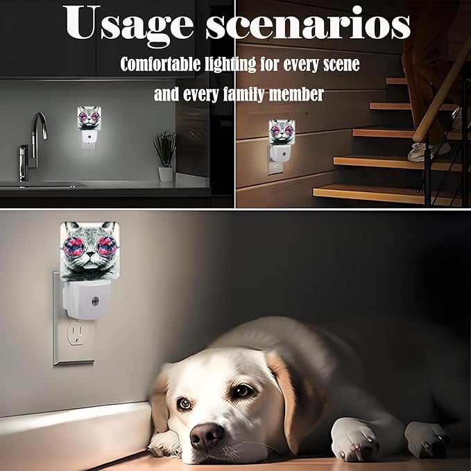 Cute Gray Cat Night Light,Plug Into Wall Decor for Stairway,Hallway,Kitchen,Dusk to Dawn Sensor Nightlights for Boys/Girls/Women/Men Room Gifts