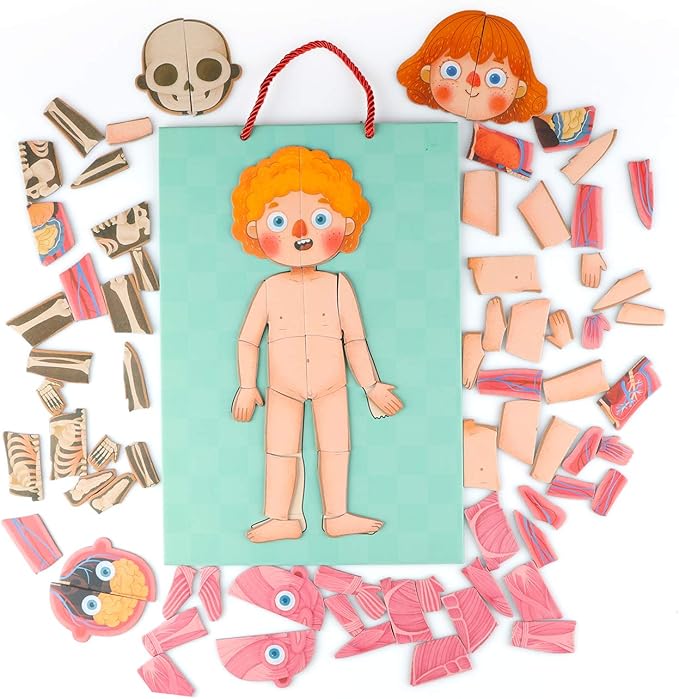 Human Body Puzzle for Kids Toddlers 90PCS Magnetic Boy Girl Anatomy Play Set Body Parts Organs Muscles Skeleton and Bones Wooden Puzzle Toys Aged 3+ Educational Learning Preschool Toys