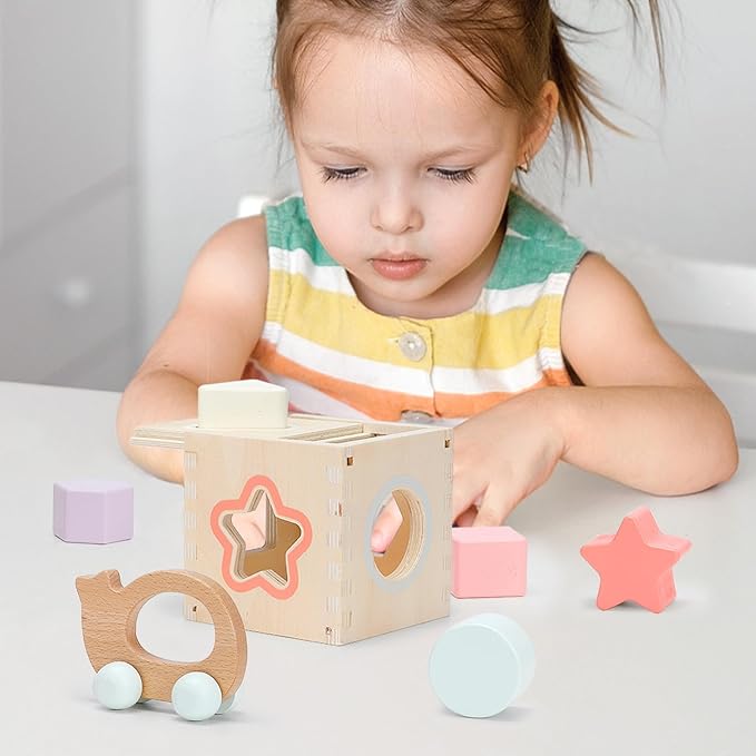 Sensory & Educational Wooden Toy Set for Toddlers 1-3 Years Old - Stacking Rings, Shape Sorter, Push Car, Bead Maze for Boys & Girl