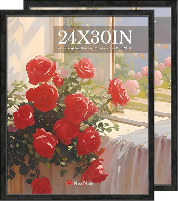 24x30 Poster Frame 2 Pack, Black Solid Wood, Wall Gallery Picture Frame