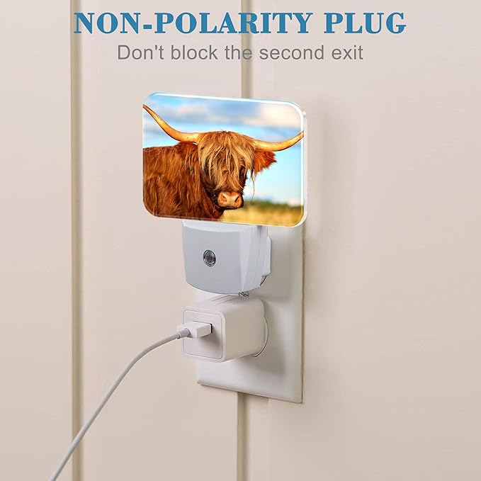Highland Cow in Field Night Light Plug into Wall, Cool Highland Cow Night Light with Dusk to Dawn Sensor for Kid Girls Boys Women Men Bedroom, Hallway, Kitchen, Bathroom, Stairs Decor