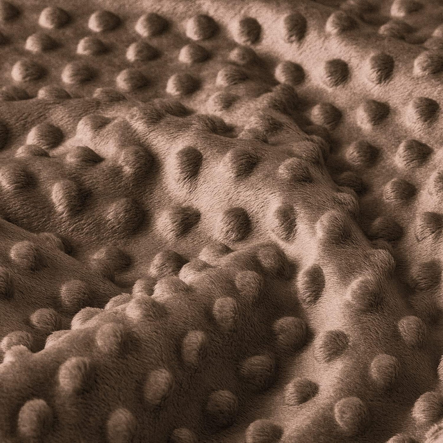 HOMRITAR Baby Blanket for Kids with Animal Woodland Soft Plush Minky Blanket with Double Layer Dotted Backing for Bed Sofa Traveling 50 x 60 Inch(125x150cm)