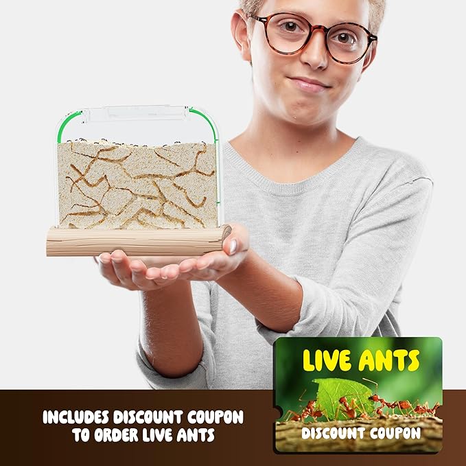 Dan&Darci Ant Farm Kit for Kids - Farms Colony - Includes Ants Voucher - Sand Habitat Kits - Bug Terrarium House - Educational Science Gifts for Kid - Nature Learning Toys for Boys, Girls & Adults