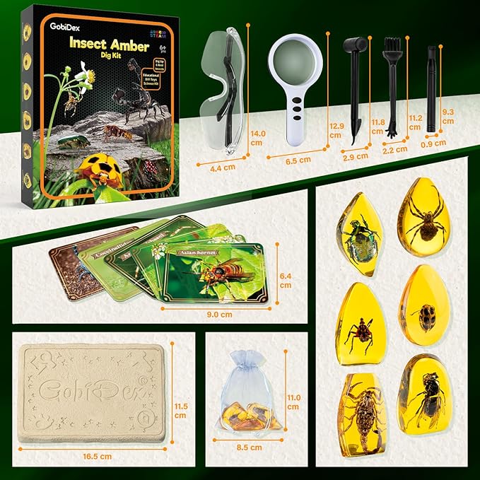 GobiDex Amber Dig Kit-Artificial Insect Resin, Excavate 6 Insects Specimens, STEM Geographic Educational Bugs Toys, Excavation Toys for Fun Bugs Party Favors, Science Kits for Kids Age 6-8 8-12