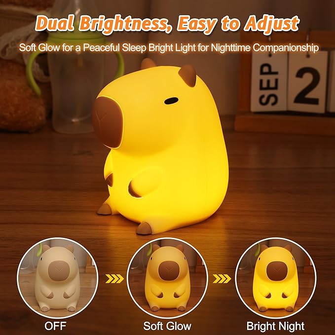 Capybara Night Light, Mothers Day Gifts, Cute Squishy Nursery Animal Silicone Night Lamp with Rechargeable & Timer & Dimmer, Capybaras Gifts for Mother, Father, Women, Girls, Boys