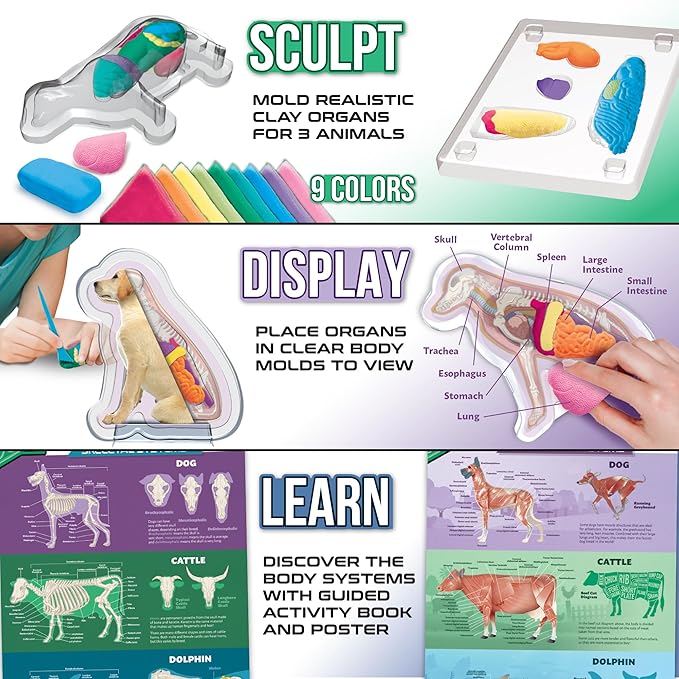 ArtSkills Epic Lab Vet Kit for Kids, Animal Anatomy Science Kit for Kids 8+ with Modeling Clay
