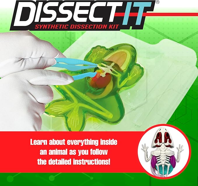 Dissect-It Simulated Synthetic Lab Dissection Toy, STEM Projects for Kids Ages 6 and Up, Animal Science, Biology, Anatomy Home Learning Kit, Great for Young Scientists! – Frog