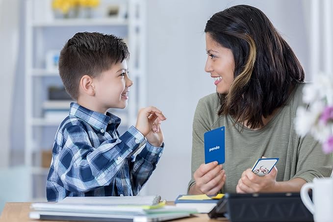 Teacher Created Resources Categories Flash Cards (EP62079)