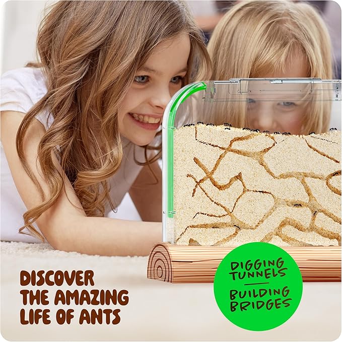 Dan&Darci Ant Farm Kit for Kids - Farms Colony - Includes Ants Voucher - Sand Habitat Kits - Bug Terrarium House - Educational Science Gifts for Kid - Nature Learning Toys for Boys, Girls & Adults