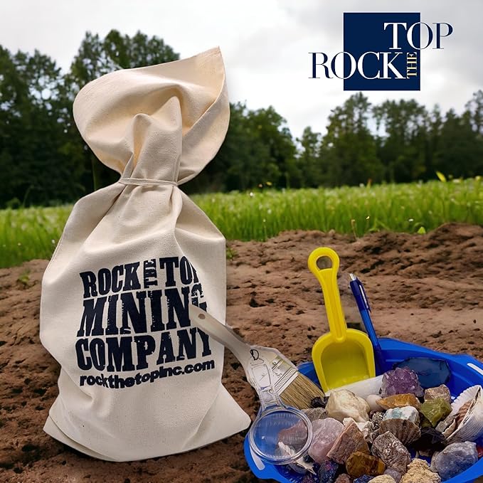 Gemstone Paydirt Geodes for Kids Break Open Science Kits for Kids Age 8-12 Shark Teeth Fossil Digging Kit for Educational Toys, Rock Collections for Mining Bucket Rock Collection