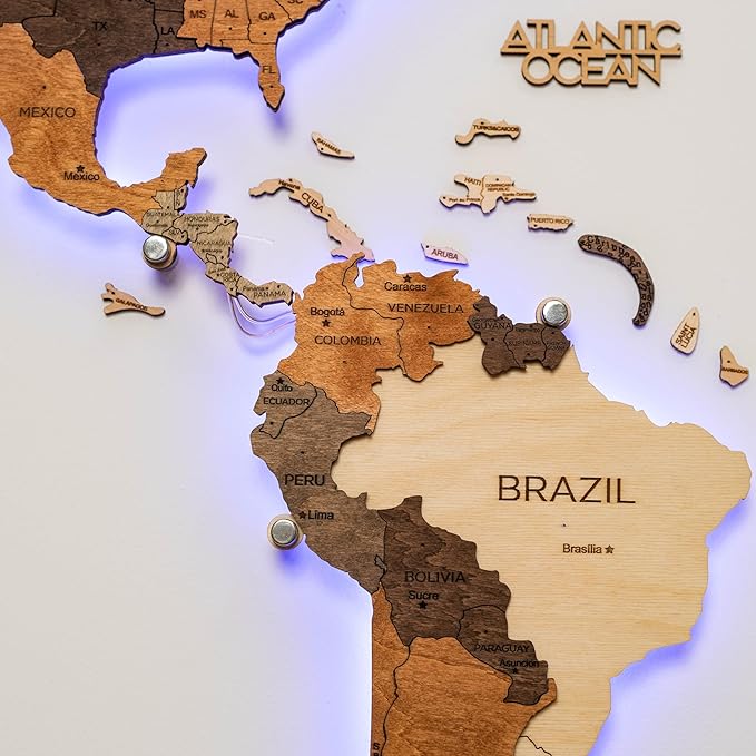 Enjoy The Wood 3D Wood World Map LED 3.0 Wall Art Modern Home Decor Gifts LED Lighting Wall Decor Housewarming Gift (Multicolor)