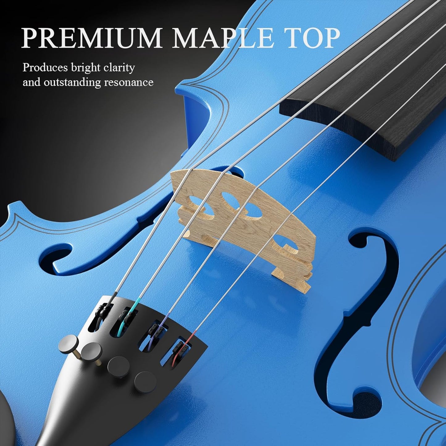 Beginner Violin 4/4, Full Size Violin for Adults, Teens, Student, Acoustic Fiddle Kit with Hard Case, Bow, Rosin, Bridge, Learners Age 12+ (Dark Blue)